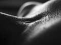 IMG_40252